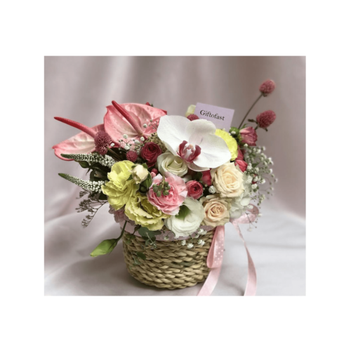 orkid-flowerpot